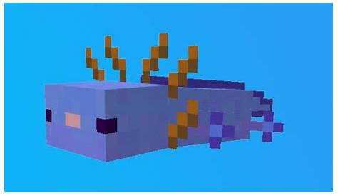 What is the rarest Axolotl in Minecraft and how to get it? – FirstSportz