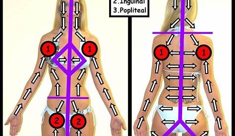 Lymphatic drainage directions Massage Tips, Massage Therapy, Body