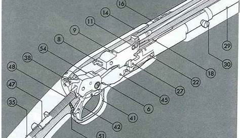 Remington Model 11 Shotgun Schematic