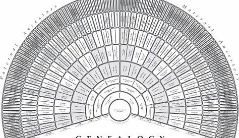 genealogy fan chart 10 generations