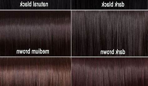 Brown Hair Color Chart Medium Brown Hair Colour Chart Coloring For