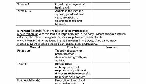 13 Parts Of The Eye Worksheet For Kids / worksheeto.com