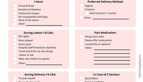 simple birth plan template pdf