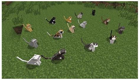 types of cats in minecraft