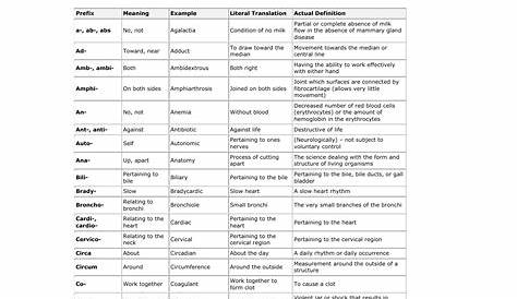 medical terminology worksheets