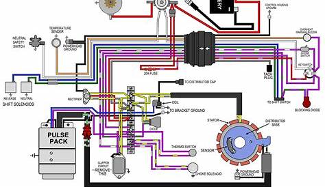 Evinrude Wiring Diagrams: Q&A for OEM Powerpack | JustAnswer