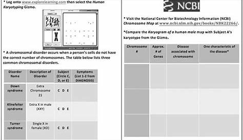 Paramecium Gizmo Answer Key › Athens Mutual Student Corner