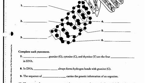 Dna structure and replication review worksheet