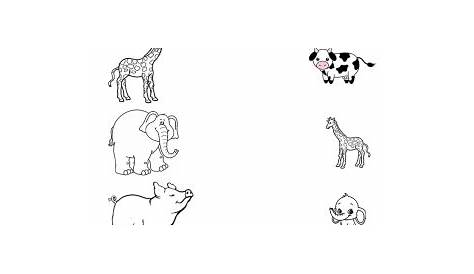 Animals Matching Worksheet | Preschool worksheets, Matching worksheets