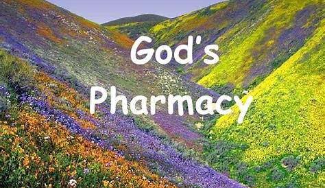 god's pharmacy chart