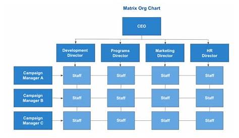 Nonprofit Organizational Charts: What are They and Why are They Vital?