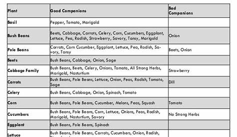 companion plants herbs chart