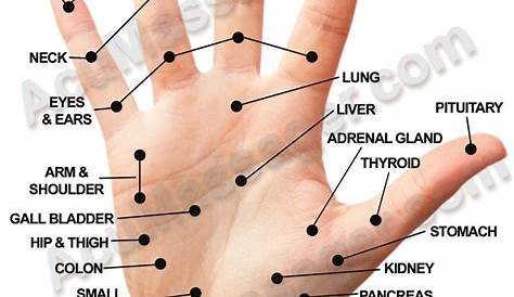 hand acupressure points chart