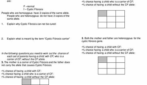 Cystic Fibrosis Inheritance Worksheet | Teaching Resources