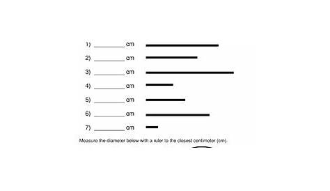 Science Measurement: Metric Measuring Worksheet Packet by Activities to