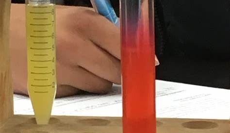 human dna extraction lab