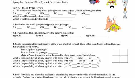 spongebob genetics worksheet