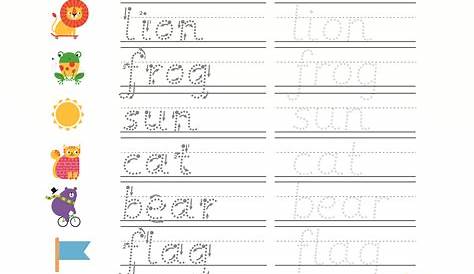 Look, Trace and Write Activity Sheet - Printables