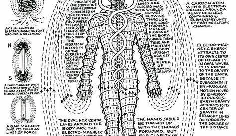 human body polarity chart