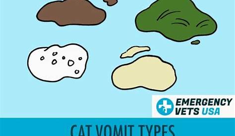 Cat Vomit Color Chart | What Does Your Cat's Vomit Colors Mean