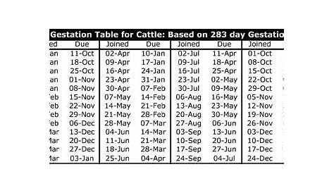 Beef Cow Gestation Calendar - All About Cow Photos