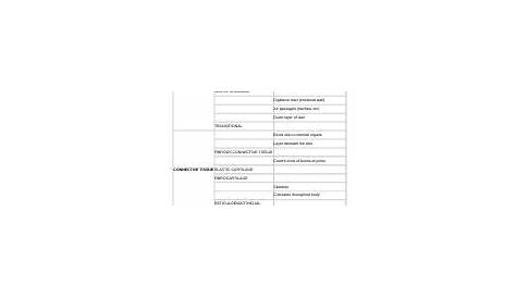 worksheet - tissues chart (4) - Anatomy and Physiology Activity Tissue Types Worksheet