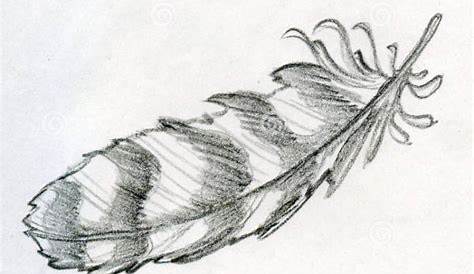 drawings of eagle feathers