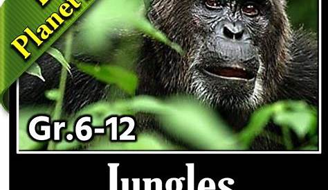 planet earth jungles worksheets answer key