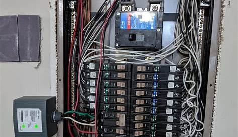 circuit panel surge protector