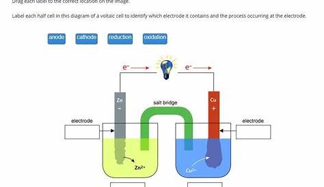 Please help! Label each half cell in this diagram of a voltaic cell to