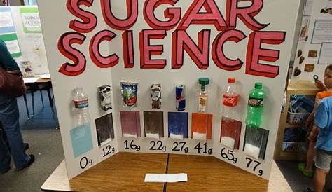 physical science projects for 3rd graders
