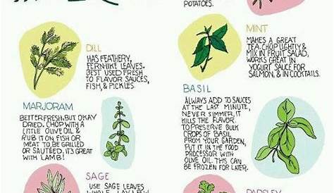 herb chart and uses