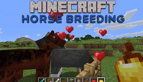 How to Breed Horses in Minecraft - Minecraft Guides