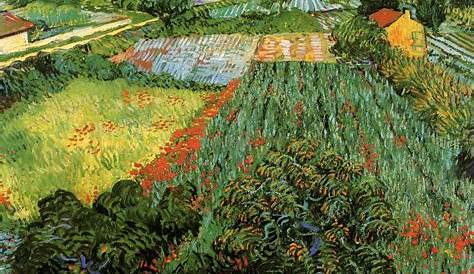 Vincent van Gogh, artwork, painting, classic art, field, plants