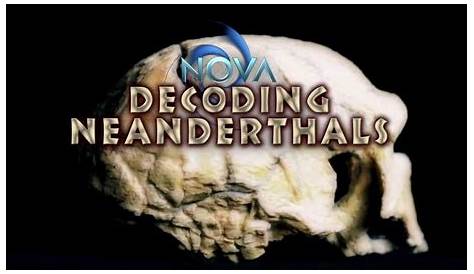 Decoding Neanderthals | NOVA - YouTube