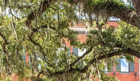 Located in Savannah’s historic district on Bay Street, directly across