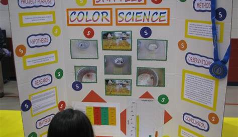 science project ideas 4th grade
