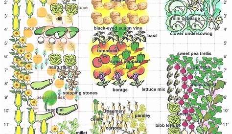 40 Companion Planting Chart for Vegetables | Desalas Template