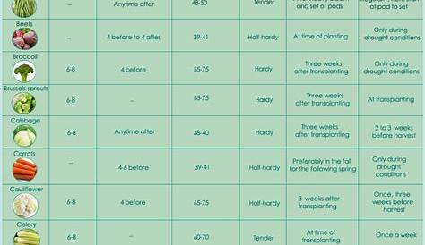 fertilizer guide for vegetables