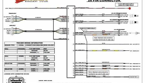 haltech elite 2500 wiring diagram