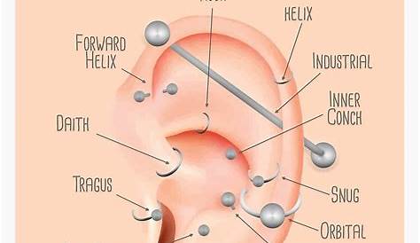 all ear piercings chart