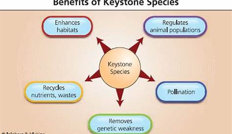 New Green Business Ideas: Keystone Species