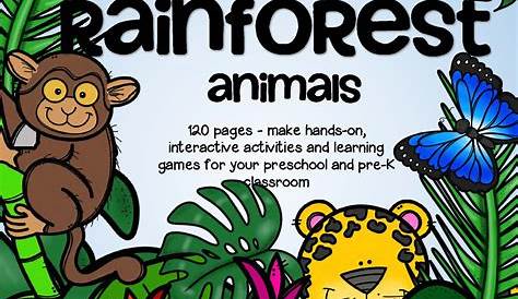 45+ Rainforest Activities Preschool Image – Rugby Rumilly