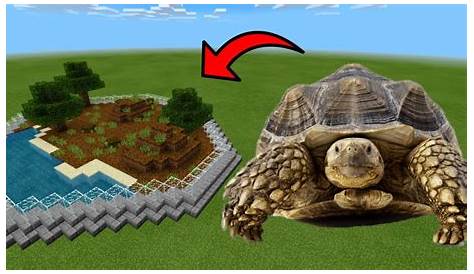 tortoise playing minecraft song