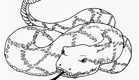 snakes printable coloring pages