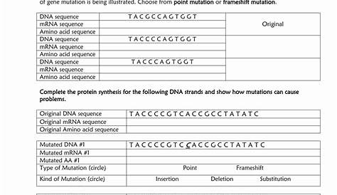 50 Dna Mutations Practice Worksheet Answers