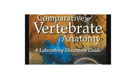comparative anatomy manual of vertebrate dissection