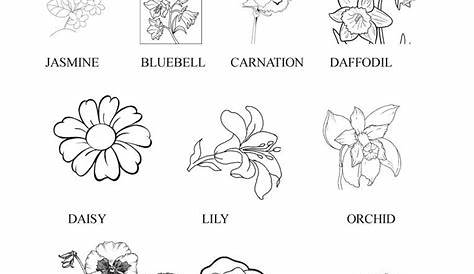 Flower Worksheets - Math Worksheets For Primary Grades