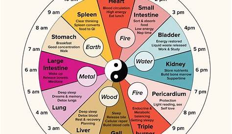 Chinese Body Clock: About, Benefits, Research | Chinese body clock