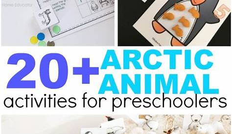 20+ Arctic Animal Printables For Preschoolers - Stay At Home Educator